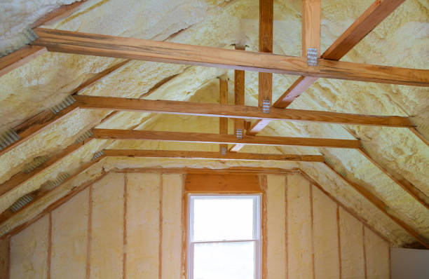 Best Commercial Insulation Contractor  in Colfax, IL