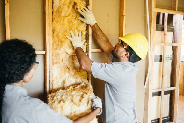 Best Crawl Space Insulation  in Colfax, IL