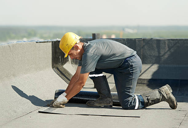 Best Spray Foam Insulation  in Colfax, IL